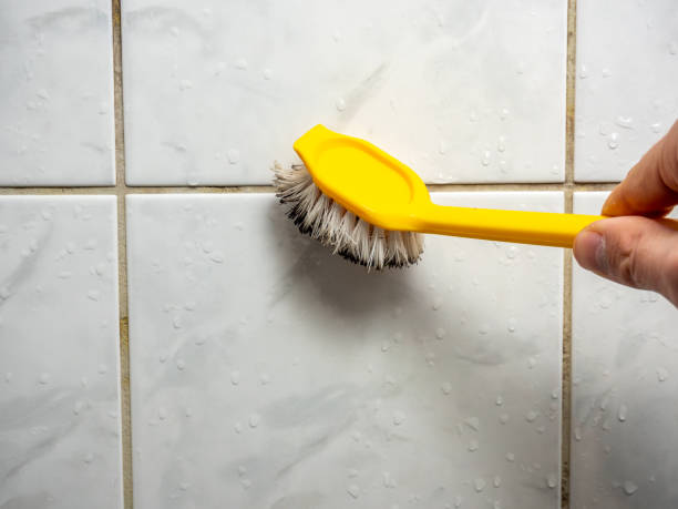 Best Residential Mold Removal  in Langhorne Manor, PA