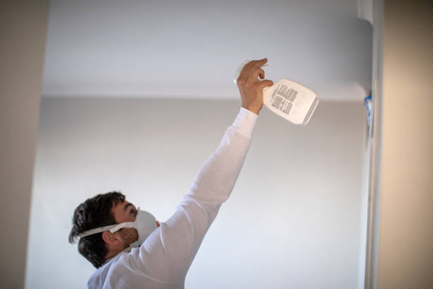 Best Local Mold Removal Service  in Langhorne Manor, PA